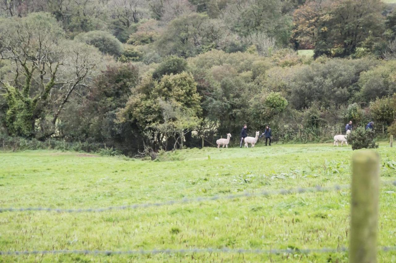 Orchard Cottage - Luxurious Barn Conversion - Beavers Hill Manorbier Bagian luar foto